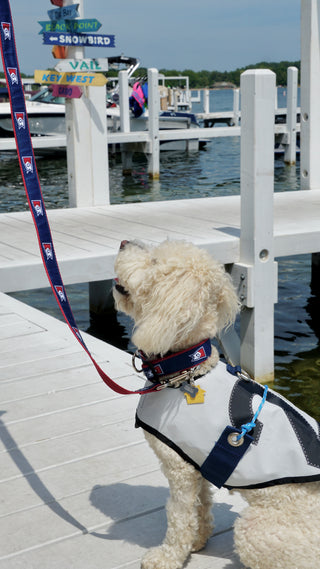 Burgee Ribbon Dog Leash