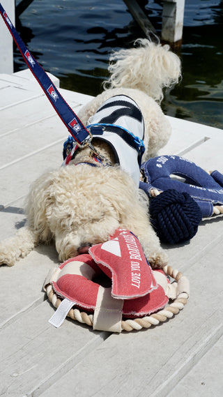 Burgee Ribbon Dog Collar